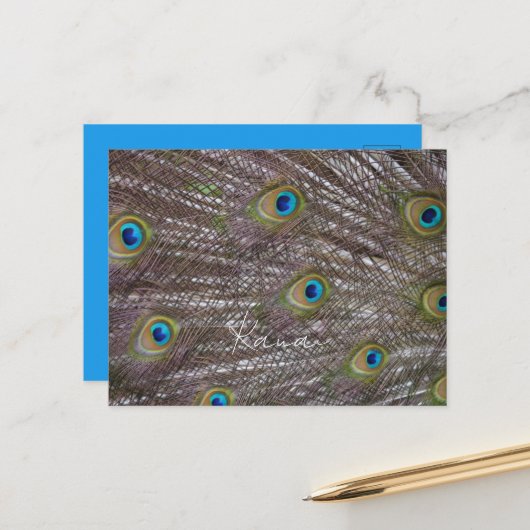 Pfauenfedern Kauai Postkarte (Vorderseite/Rückseite Beispiel)