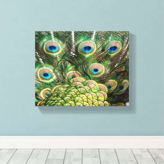 Pfauenfedern, Leinwand (Insitu (Holzboden))