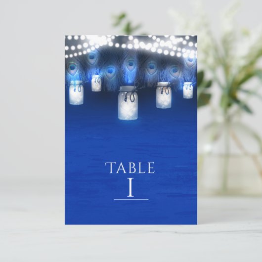 Pfauenfedern, Mason Jar & Lights Tischnummer (Stehend Vorderseite)