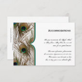 Pfauenfedern mit Doppelrahmen Begleitkarte (Vorne/Hinten)