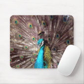 Pfauenfedern Mousepad (Mit Mouse)