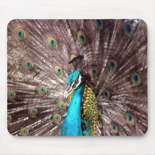 Pfauenfedern Mousepad (Vorne)