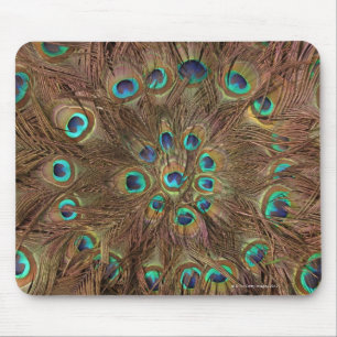 Pfauenfedern Mousepad