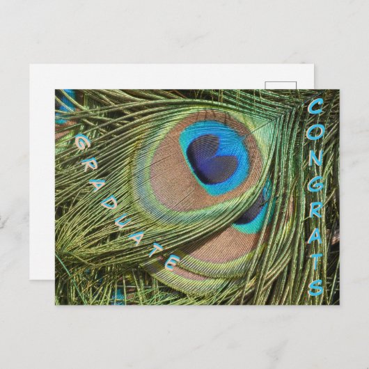 PfauenFedern Nah bis Graduate Postkarte (Vorne/Hinten)