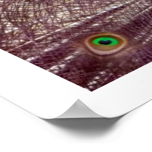 Pfauenfedern Poster (Ecke)