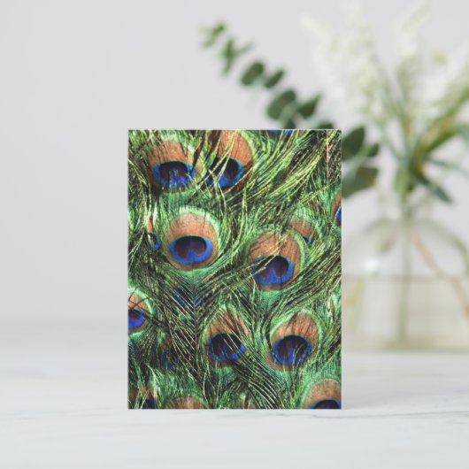 Pfauenfedern Postkarte (Stehend Vorderseite)