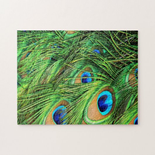 Pfauenfedern Schwieriges Puzzle (Horizontal)