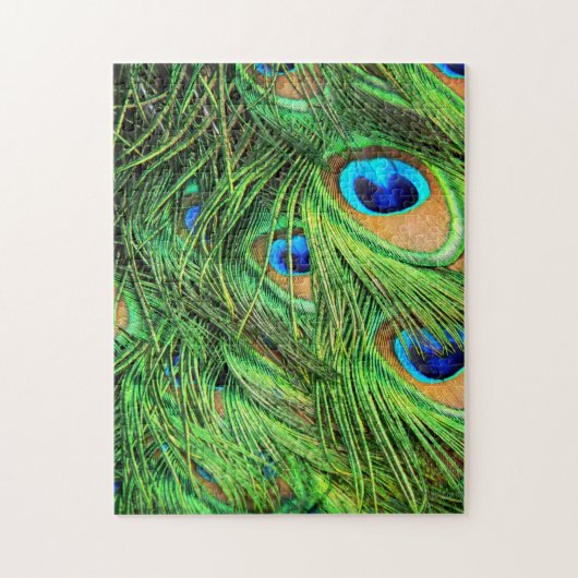 Pfauenfedern Schwieriges Puzzle (Vertikal)