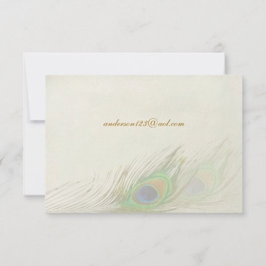 Pfauenfedern UAWG Einladung (Rückseite)