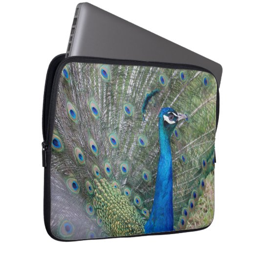 Pfauenfotografie Laptopschutzhülle (Vorne Rechts)