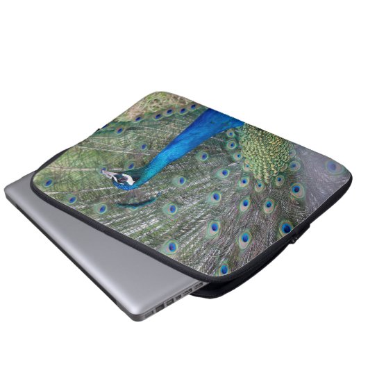 Pfauenfotografie Laptopschutzhülle (Vorne Knopf)
