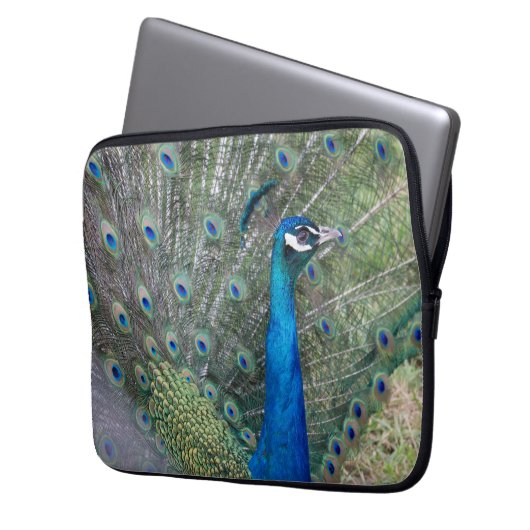 Pfauenfotografie Laptopschutzhülle (Vorderseite Links)