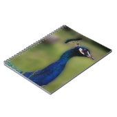 Pfauenfotografie-Notebook Notizblock (Linke Seite)