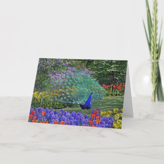 Pfauenfrühlingsblumen 2 karte (Vorderseite)