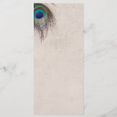 Pfauenfußprogramm Programm (Rückseite)