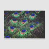 Pfauenfutterpapier Seidenpapier (Vorderseite)