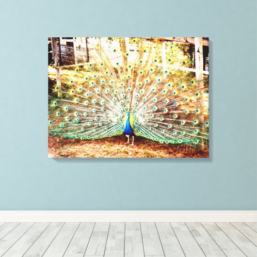 Pfauengepflasterte Canvas Print Leinwanddruck (Insitu (Holzboden))