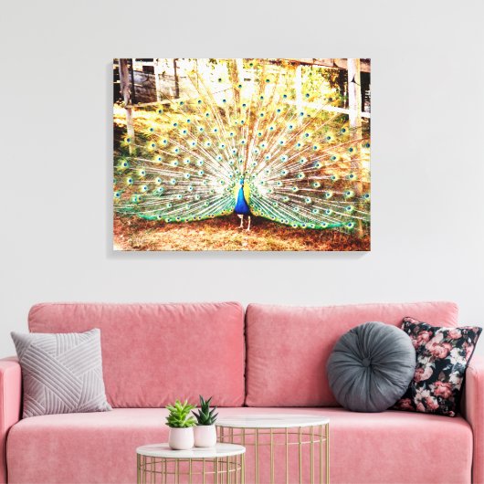 Pfauengepflasterte Canvas Print Leinwanddruck (Insitu (Wohnzimmer))