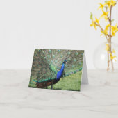 Pfauengrüßkarte Karte (Gelbe Blume)
