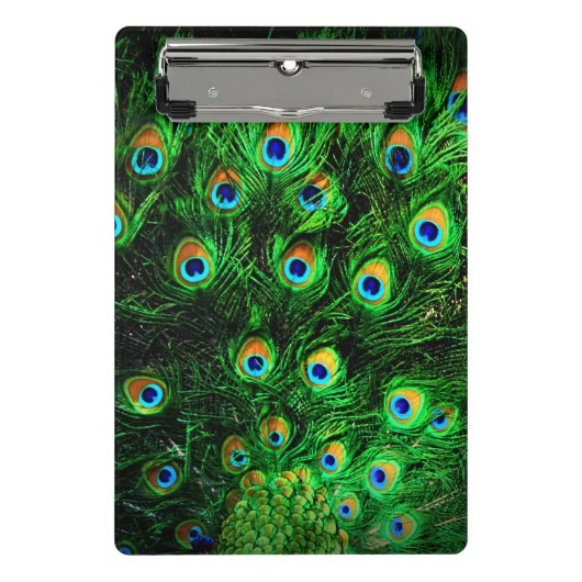 Pfauenheft Mini Klemmbrett (Vorderseite)