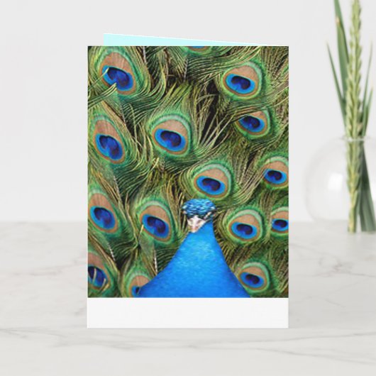 Pfauenhochzeitskarte Programm (Rückseite)