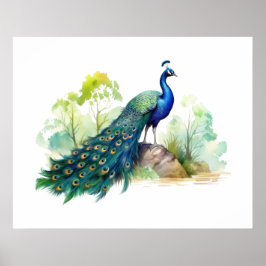  Pfauenillustration	   Poster