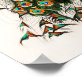 PfauenIllustration Vintage Kunst drucken Poster (Ecke)