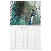 Pfauenkalender 2024 kalender (Feb 2027)