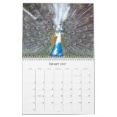 Pfauenkalender Kalender (Jan 2027)