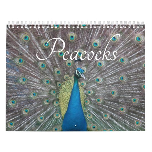 Pfauenkalender Kalender (Titelbild)