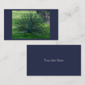 Pfauenkarten Visitenkarte (Vorne/Hinten)