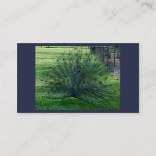 Pfauenkarten Visitenkarte
