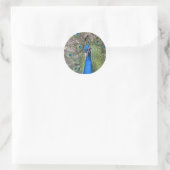 Pfauenkleber Runder Aufkleber (Tasche)