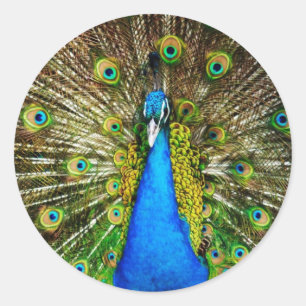 Pfauenkleber Runder Aufkleber