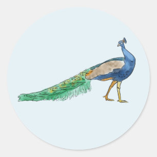 Pfauenkleber Runder Aufkleber