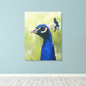 Pfauenkopf Leinwanddruck (Insitu (Holzboden))