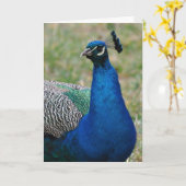 Pfauenkulturkarte Karte (Gelbe Blume)