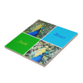 Pfauenkunst Fliese (Seite)