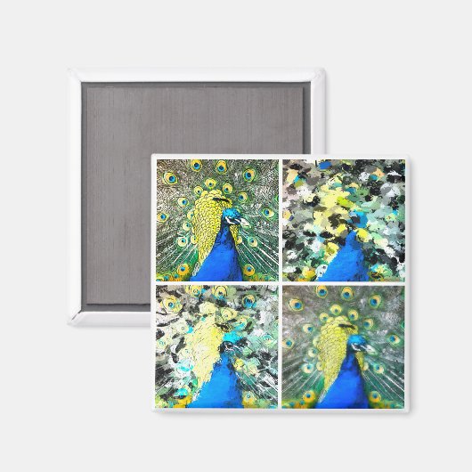 Pfauenkunst Magnet (Vorderseite/Rückseite)