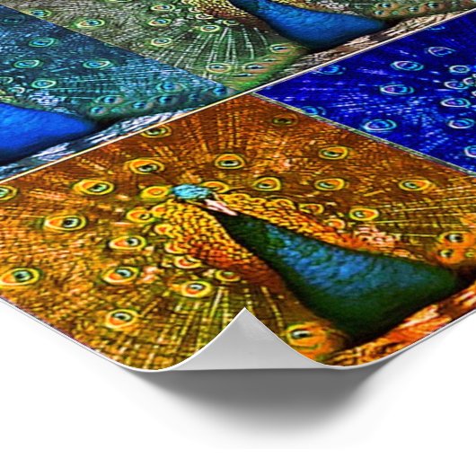 Pfauenkunst Pop Poster (Ecke)