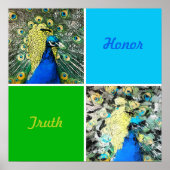 Pfauenkunst Poster (Vorne)