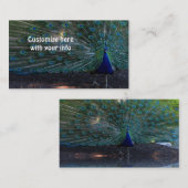 PfauenkVisitenkarten Visitenkarte (Vorne/Hinten)