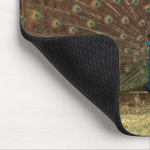 Pfauenmousepad Mousepad (Ecke)