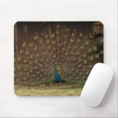 Pfauenmousepad Mousepad (Mit Mouse)