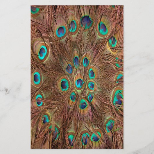 Pfauenmuster Hintergrund Briefpapier (Vorderseite)