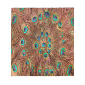 Pfauenmuster Hintergrund Notizblock (Vorderseite)