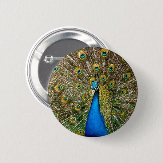 Pfauenmuster Pfauengeflecht Malerei Tier Ar Button (Vorne & Hinten)