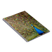 Pfauenmuster Pfauengeflecht Malerei Tier Ar Notizblock (Rechte Seite)