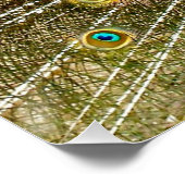 Pfauenmuster Pfauengeflecht Malerei Tier Ar Poster (Ecke)