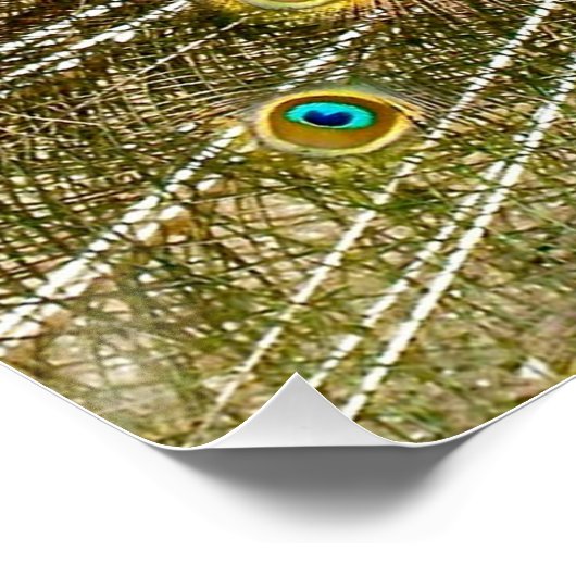 Pfauenmuster Pfauengeflecht Malerei Tier Ar Poster (Ecke)